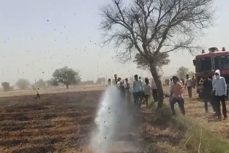 fire in the farm in Alwar, fire in the farm