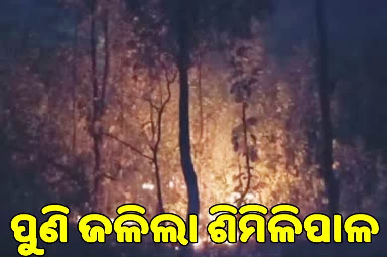 similipal forest fire in mayurbhanja