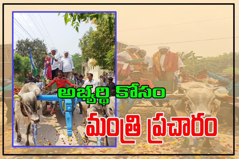 minister kannababu election campaign in srikalahasti, minister kannababu campaign for mp candidate gurumurthy