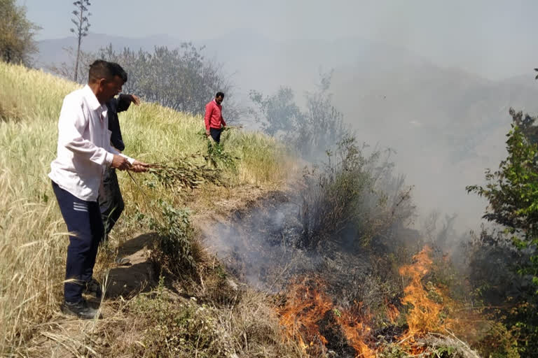 Fire in the forests near Mussoorie