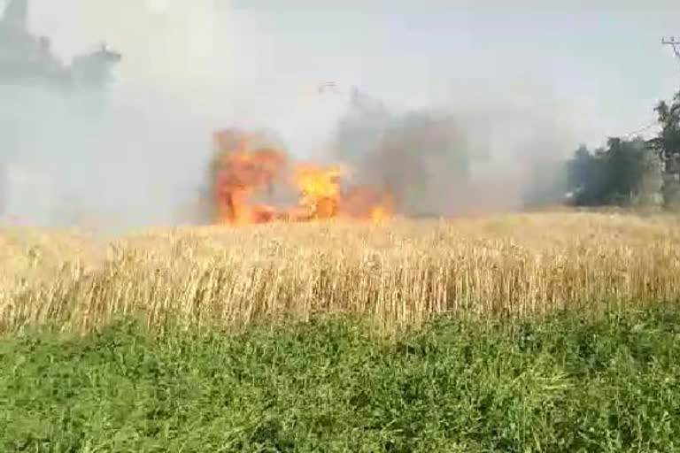 Several acres of wheat crop burnt to ashes in Kashipur