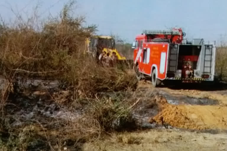 Rajasthan News,  Fire in pasture in Jaipur