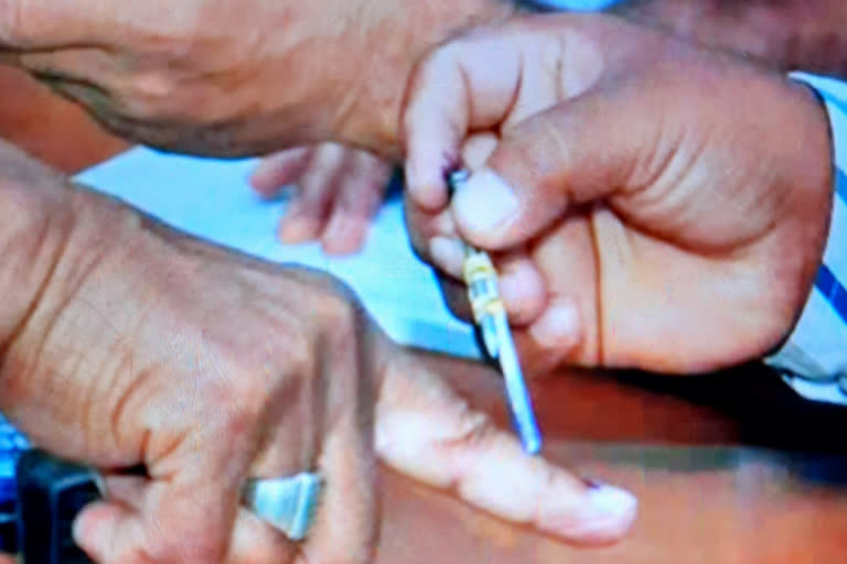 peace fully polling in four assembly in south 24 pgs