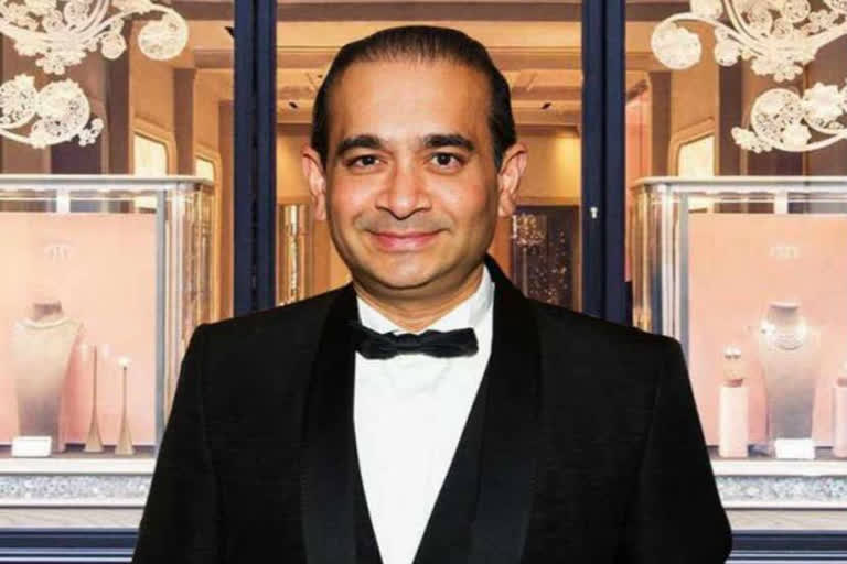 temporary stay on warrant issued against nirav modi sister in law and brother in law