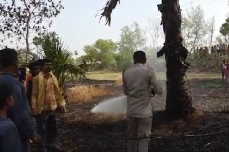 गेहूं की फसल में लगी आग