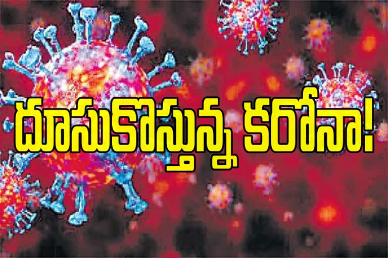 కరోనా వైరస్