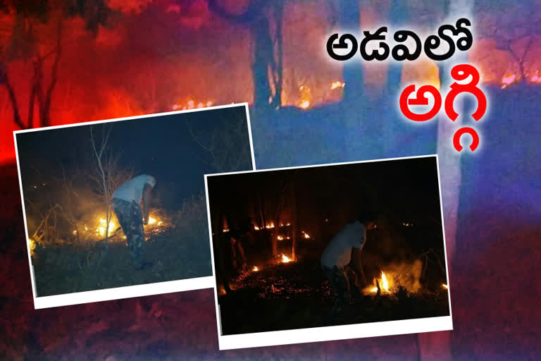 nallamala forest, fire accident in nallamala forest