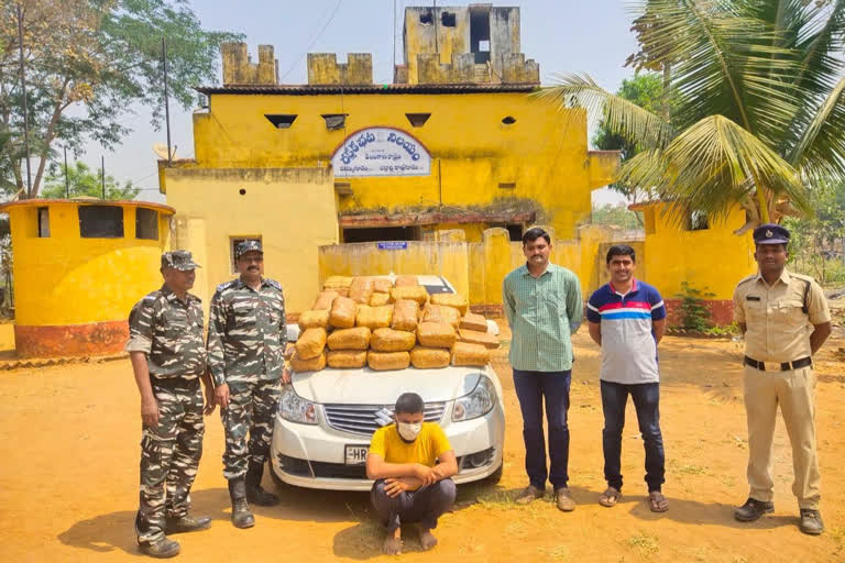 178 kg of cannabis seized in Bhadradri