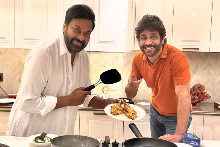 Chiranjeevi arranged Dinner for Nagarjuna