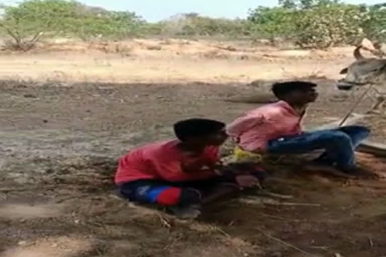 Two boys beaten up, forcefully fed cow dung for entering mango orchard