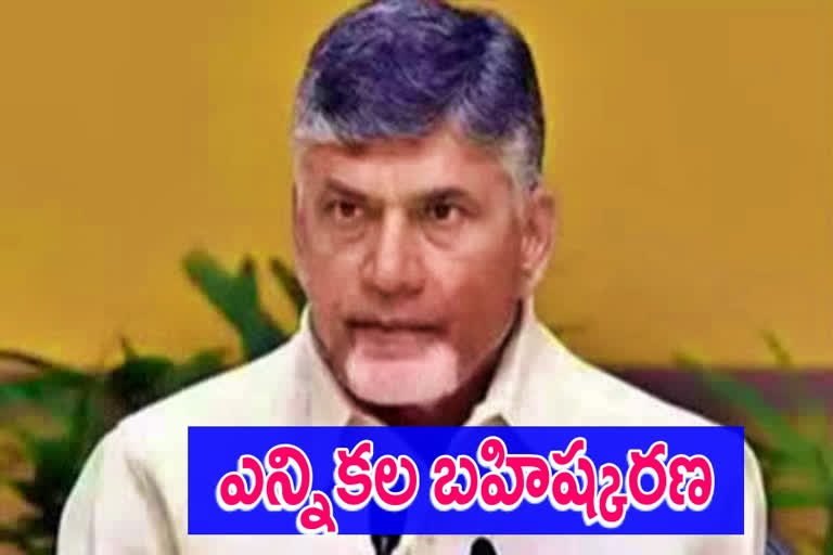 chandrababu naidu, mptc zptc elections