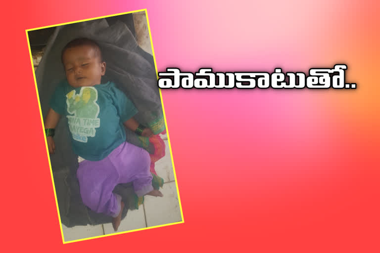 four-month-old-baby-dies-of-snake-bite-at-narsapur-in-medak