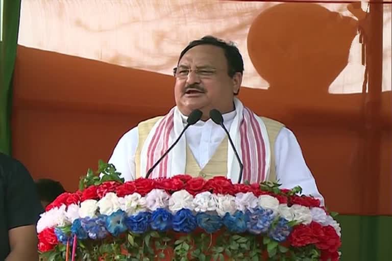 Assam polls: Congress has become 'mentally bankrupt', says JP Nadda