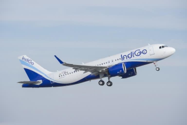 IndiGo  door-to-door baggage transfer  IndiGo door-to-door baggage transfer  IndiGo CarterPorter  ഇൻഡിഗോ  ന്യൂഡൽഹി  ഹൈദരാബാദ്  ഇൻഡിഗോ എയർലൈൻ  കാർട്ടർപോർട്ടർ  CarterPorter