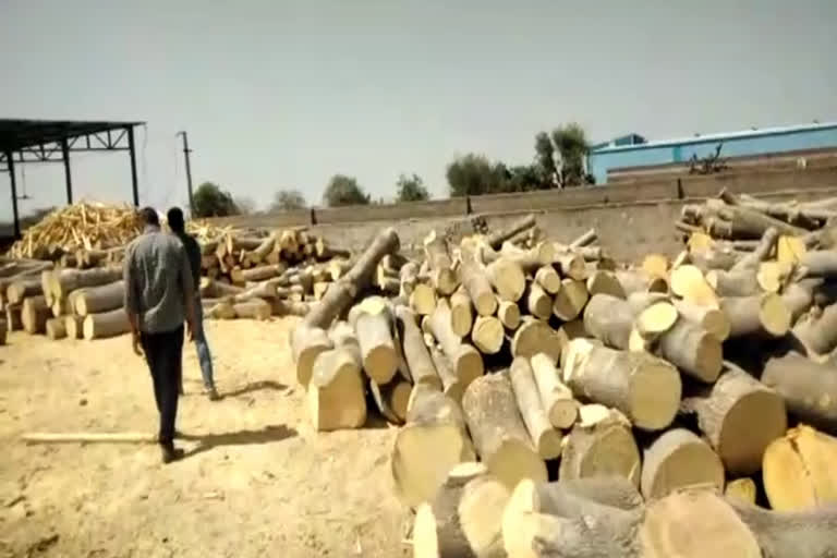 नागौर की ताजा हिंदी खबरें, Action against illegal saw machine