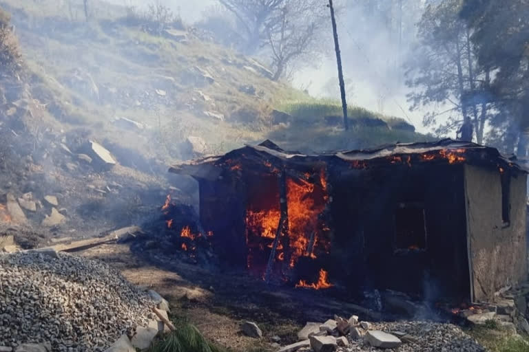 fire caught in cowshed in karsog