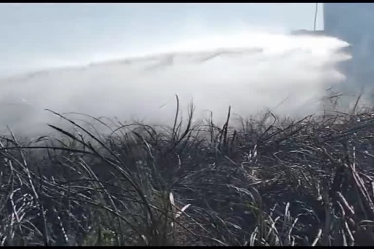 Shahbad sugarcane field fire