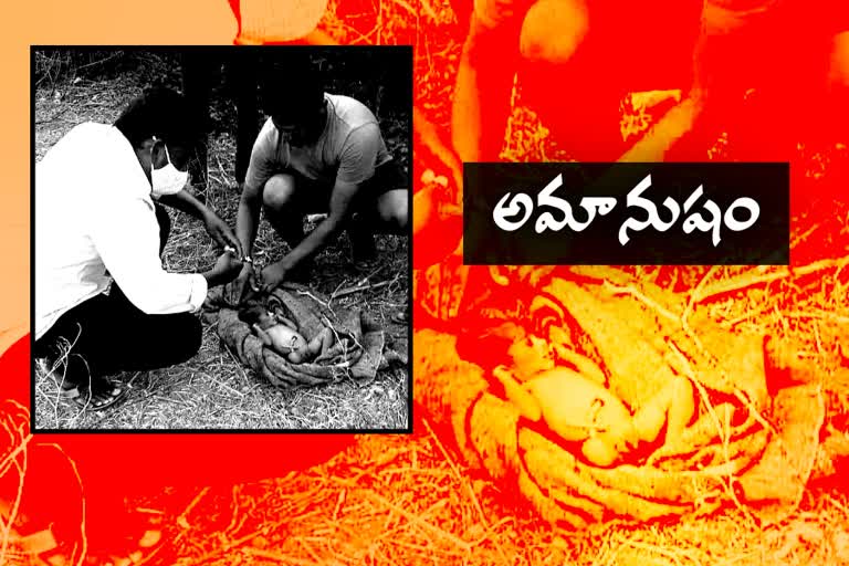 new born baby at thorn bushes, Mahbubnagar district news