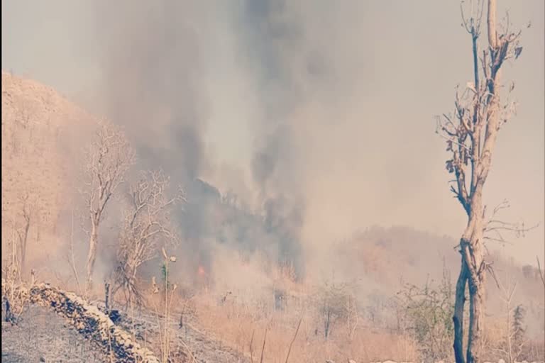 प्रतापगढ़ न्यूज, fire accident in Pratapgarh forest