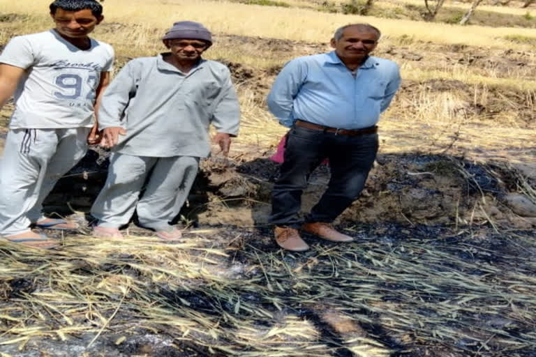 fire-caught-in-farm-in-sarkaghat