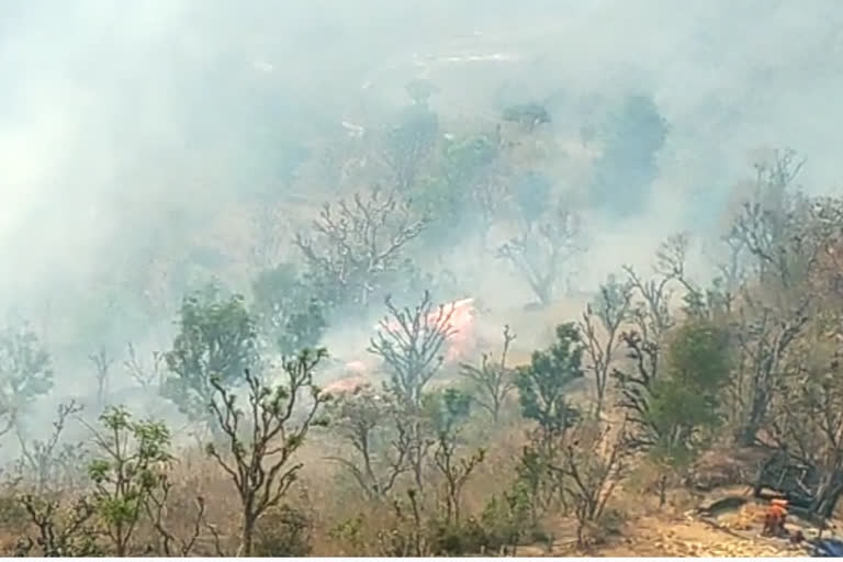 forest Fire in  Mussoorie bhediyana village