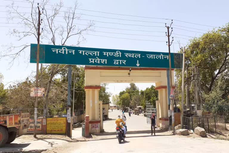 wheat purchasing in jalaun