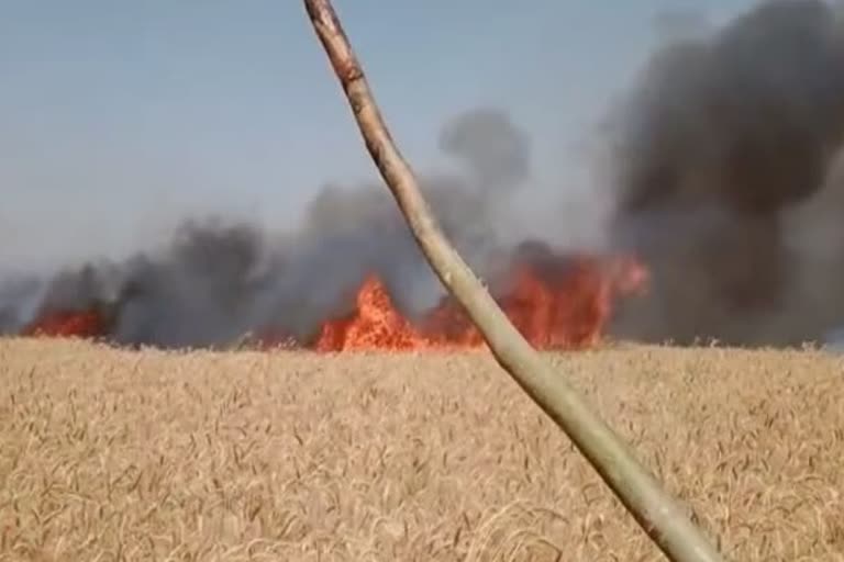 fire in wheat crop