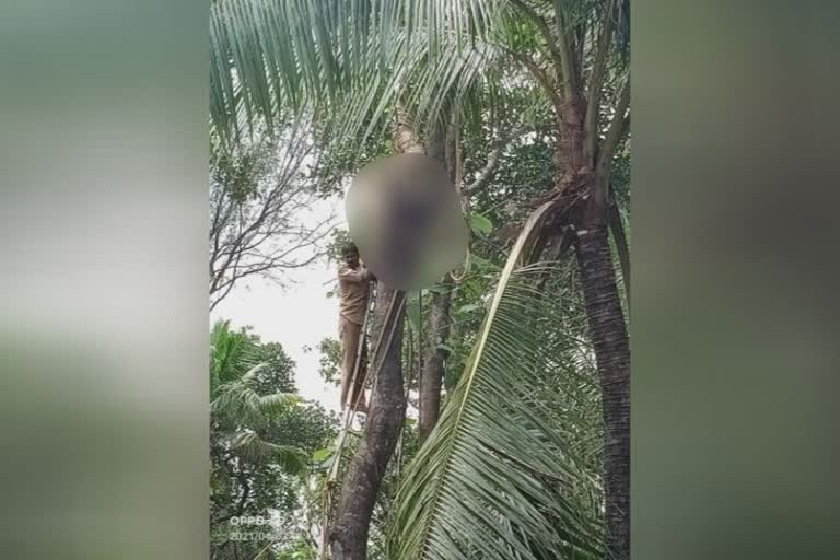 Worker died after the rope was tied around his neck while cutting wood  Worker died in sasthamkotta  കയര്‍ കഴുത്തില്‍ മുറുകി തൊഴിലാളി മരിച്ചു  മരംമുറിക്കുന്നതിനിടെ കയര്‍ കഴുത്തില്‍ മുറുകി  ശാസ്‌താംകോട്ട  worker death in sasthamkotta