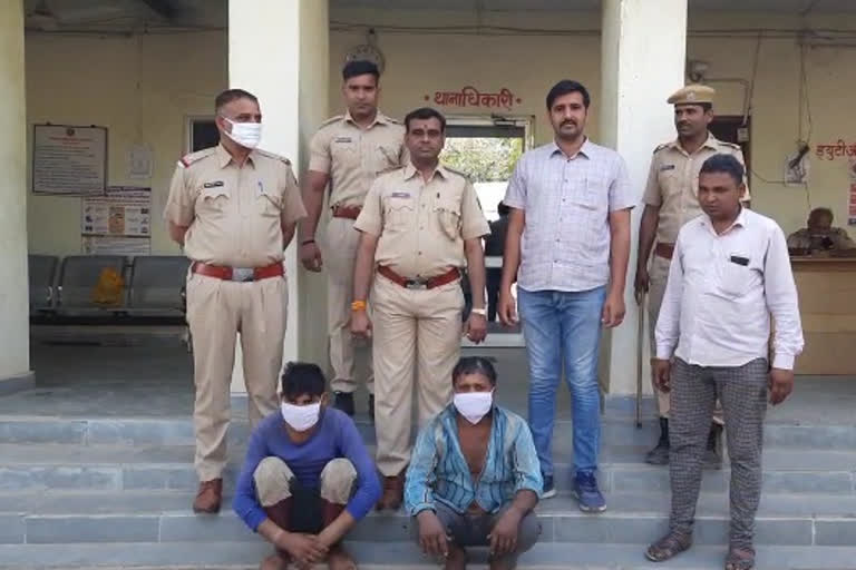 Latest news of chittorgarh,  Kapasan police arrested prize crook