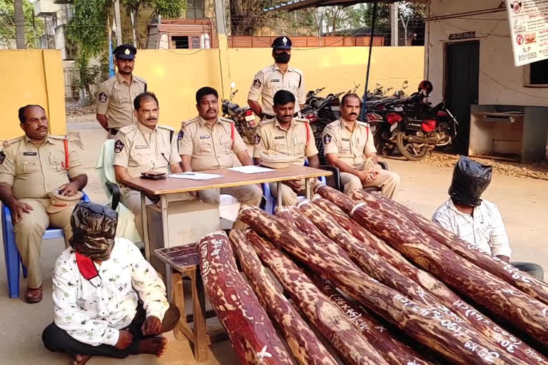 Red sandalwood smuggling at Raghava Rajapuram