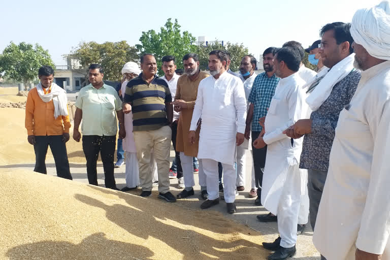 MLA Aftab Ahmed inspected crop purchasing in nuh anaj mandi