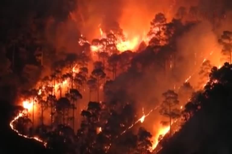 Uttarakhand wildfire