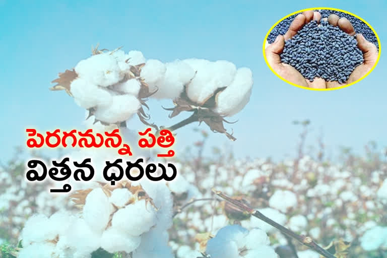 BT cotton seeds news, bt cotton price increase