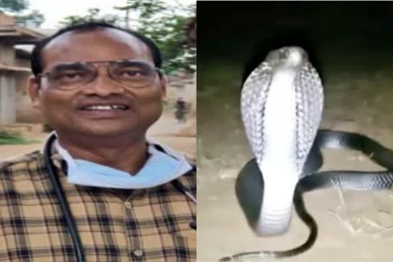 snake in room of mla kk dhruv