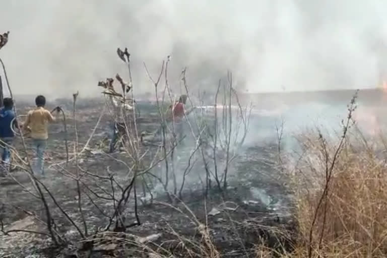 प्रतापगढ़ में जंगल में आग, Fire in Baradiya forest area