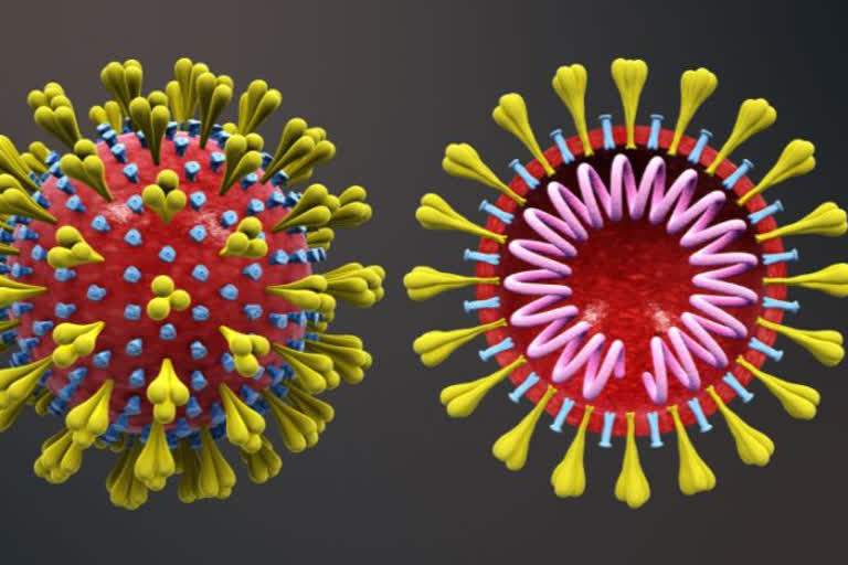 కరోనా స్ట్రెయిన్_2