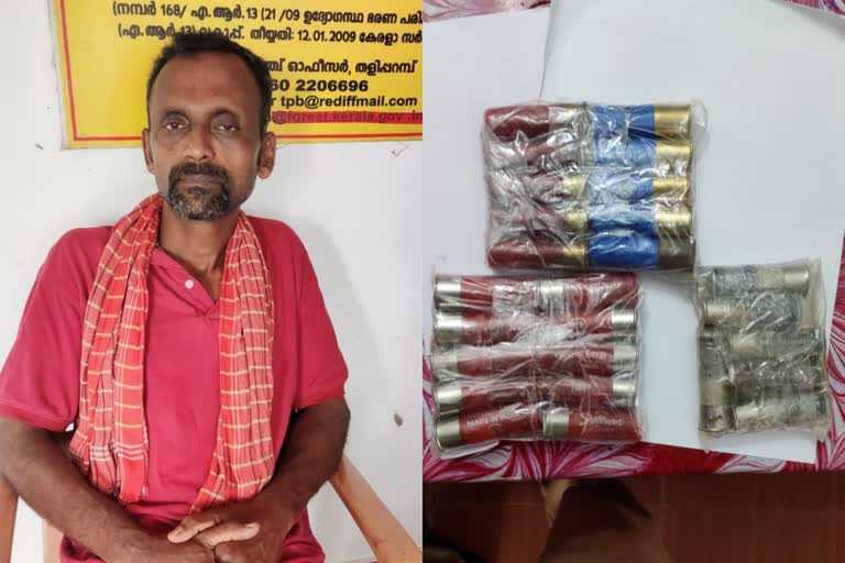 Man arrested with 26 bullets  നാടൻ തോക്കിന്‍റെ 26 തിരകളുമായി ഒരാൾ പിടിയിൽ  തളിപ്പറമ്പ് വനം വകുപ്പ്  ഫോറസ്റ്റ് റേഞ്ച് ഓഫീസർ  forest department  കുടിയാന്മല  പൈതൽ മല