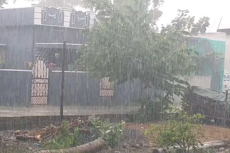 rain