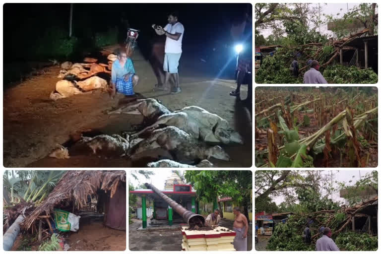 farmers problems with unseasonal rains in west godavari district