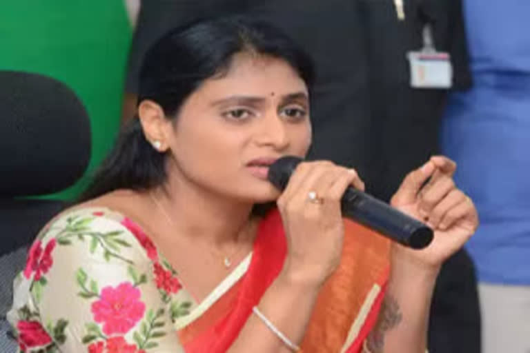 telangana lawyers met ys sharmila