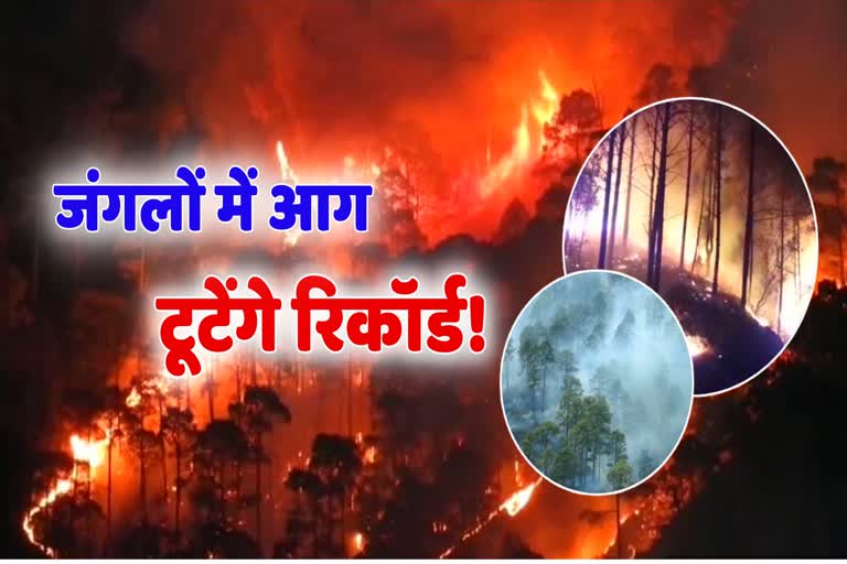 uttarakhand forest fire