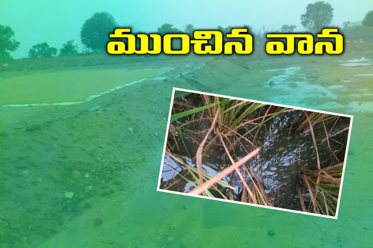 rain in kamareddy