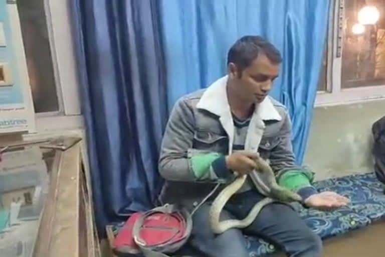 Snake catcher sonu thakur caught 540 snakes in kullu