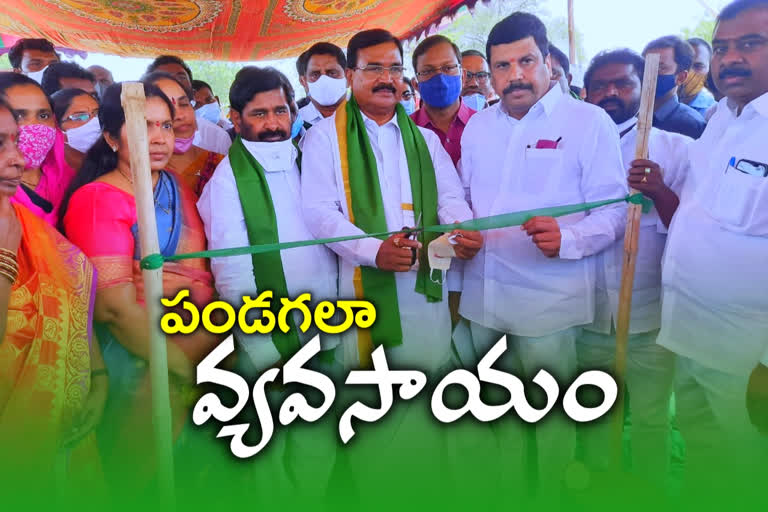 ministers Niranjan reddy and Jagadeesh reddy visited in suryapet district