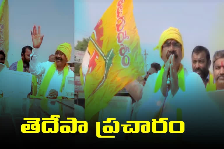 Tdp campaigning