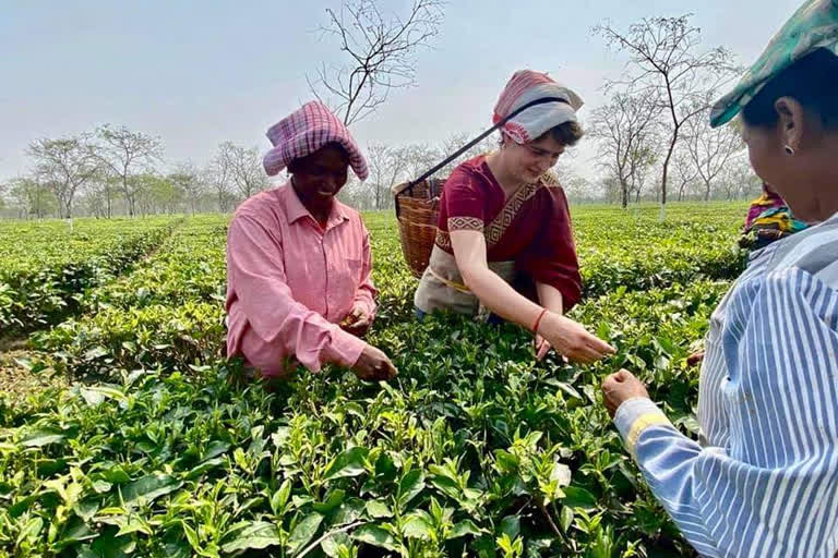 কোন দলে সংখ্যা গৰিষ্ঠতা লাভ কৰিব এই নিৰ্বাচনত !