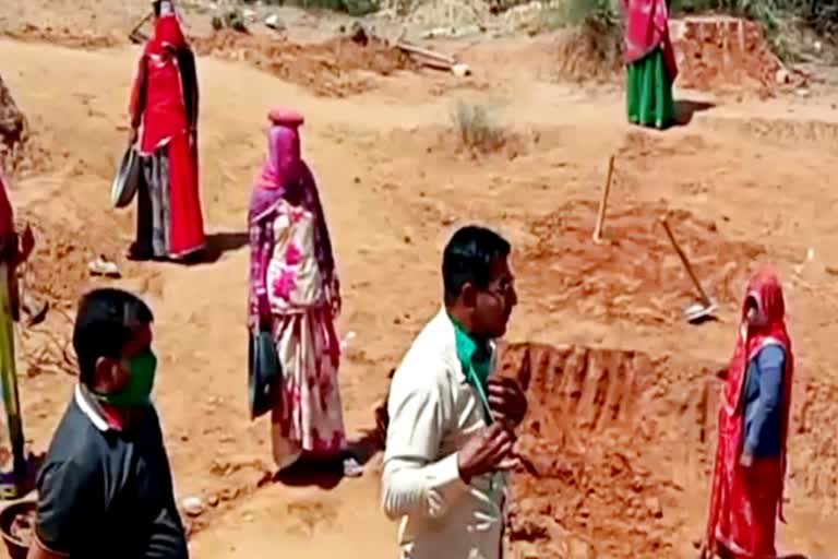 Nagaur news, employment under the MGNREGA