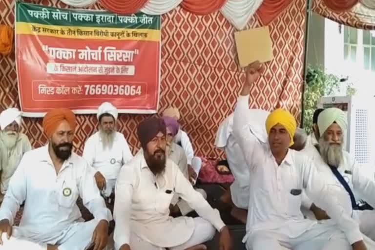 sirsa city council election farmer protest