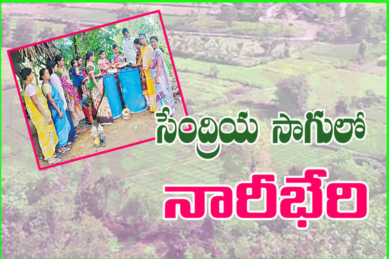 women doing organic farming at east godavari