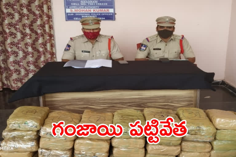 Suryapeta district police seized the cannabis